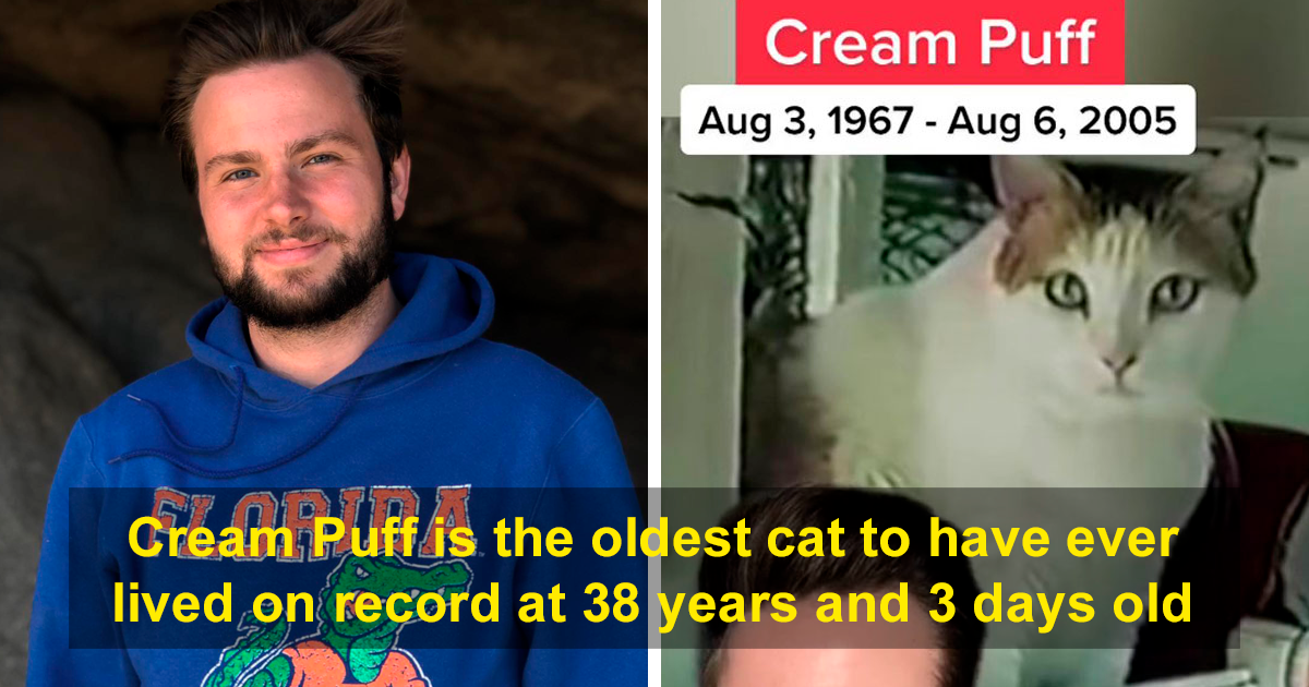 History Oddities: 32 Facts That Shift How Time Is Perceived