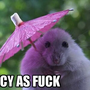 meyrin-ch-lesuisse avatar