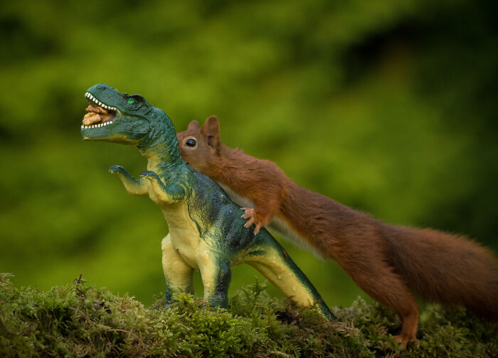 Squirrel Photographer Pays A Tribute To Steven Spielberg's Jurrasic Park