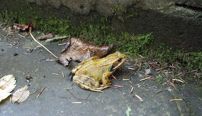 28 Times Employees Did Bizarrely Crazy Things At Work That Folks Online Just Had To Share