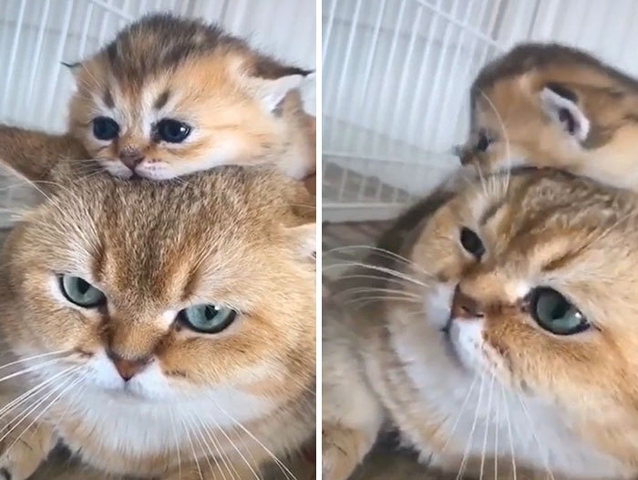 The Beginning Of Fatherhood