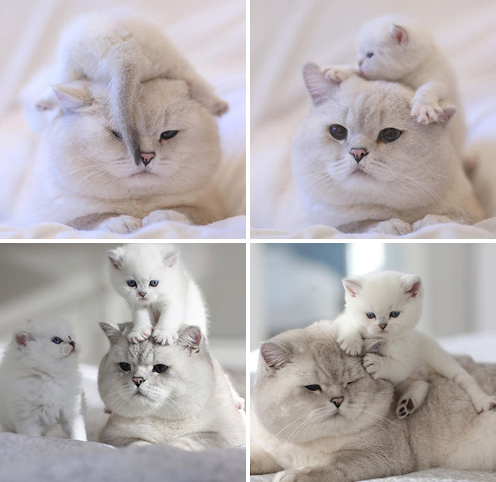 Daddy’s Life Routine