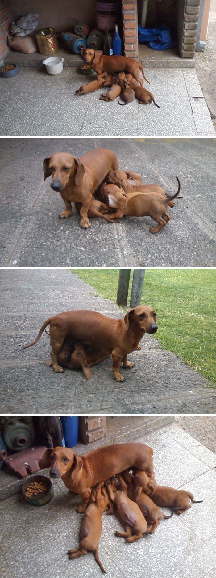 I Guess This Is My Life Now