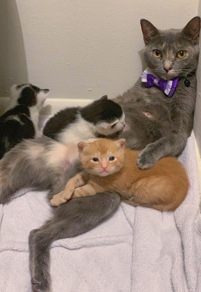 Mom's Job Is Never Done