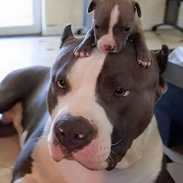 The Mother Is The World's Share Warrior - Who Struggles To Keep The Child On Her Head