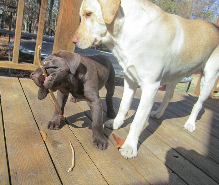 The Luxuries You Give Up In Parenthood