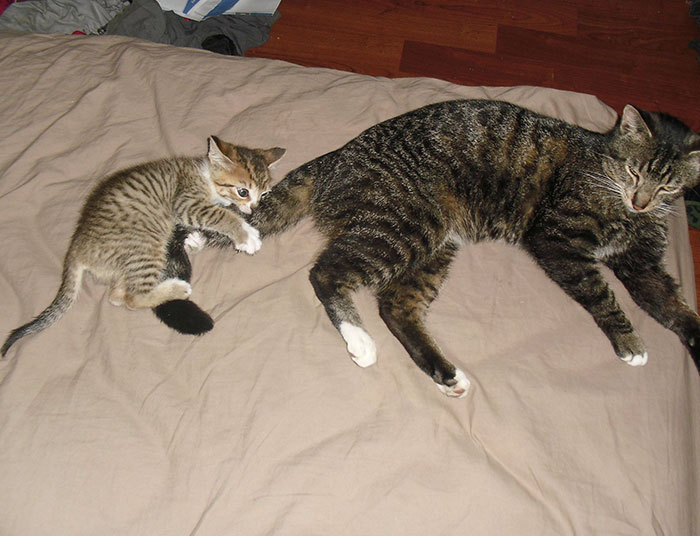 He's Such A Patient Daddy