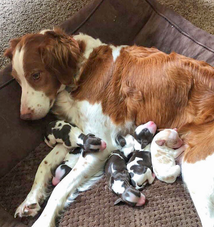 First Day Of Motherhood. She’s Exhausted