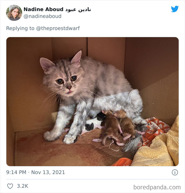 Big “I Haven’t Slept In Days” Energy