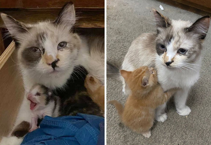 First Days After Giving Birth vs. One Month After. Mom's Still Questioning All Her Decisions