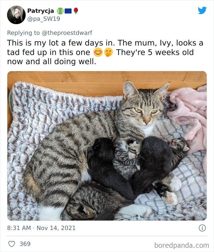 Reality Of Parenthood