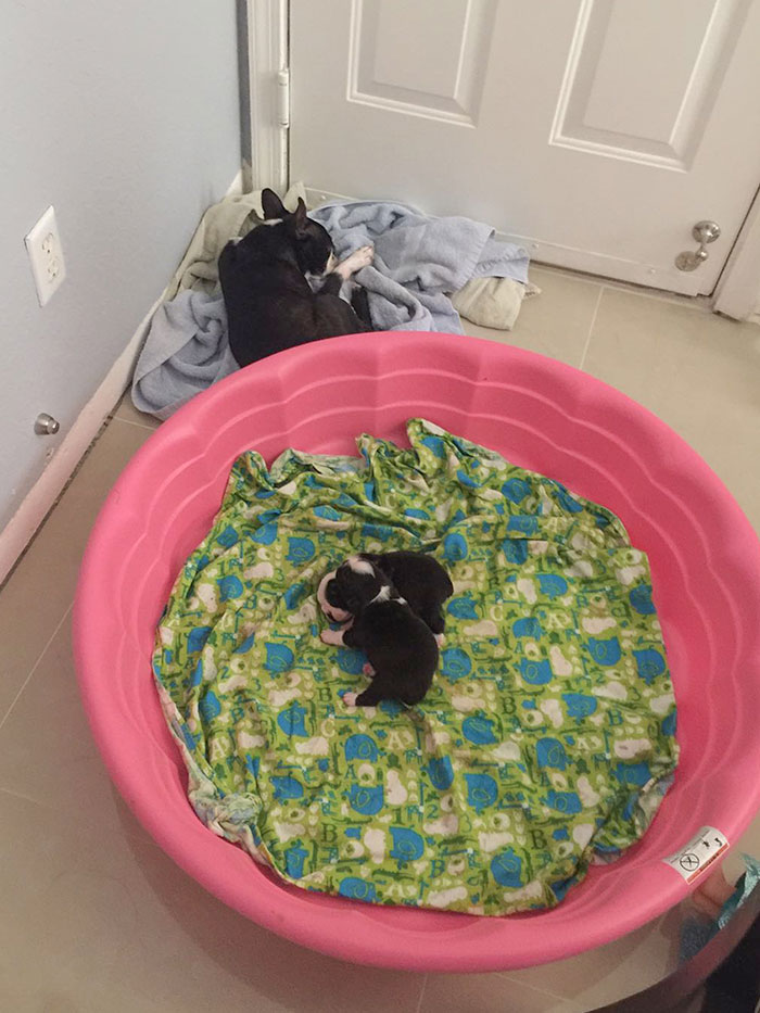 Two Weeks Into Motherhood, Mimi Needed A Break