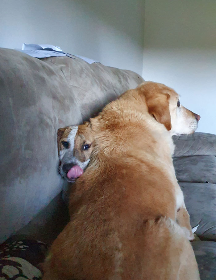 When The Baby Won't Sit Still You Sit On It. Oh, Is That Not How Parenting Works? My Bad