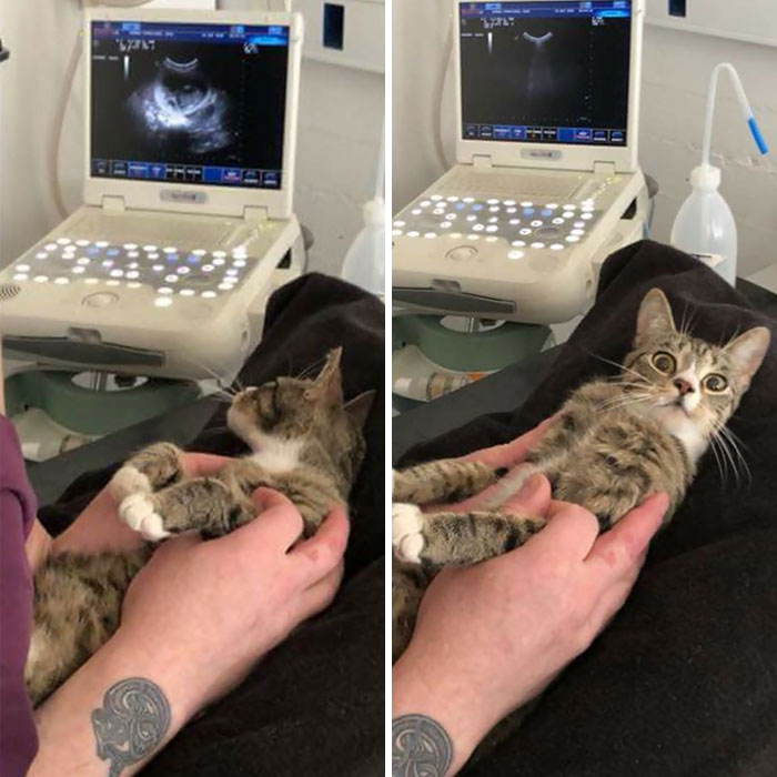 When You Find Out You're Pregnant