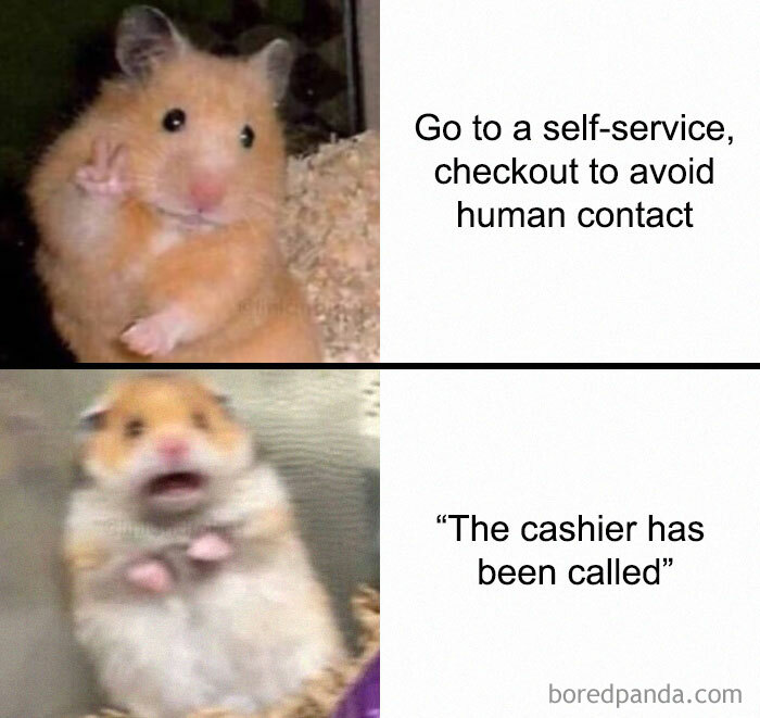 Hamsters illustrating a Finland meme with self-service checkout humor.
