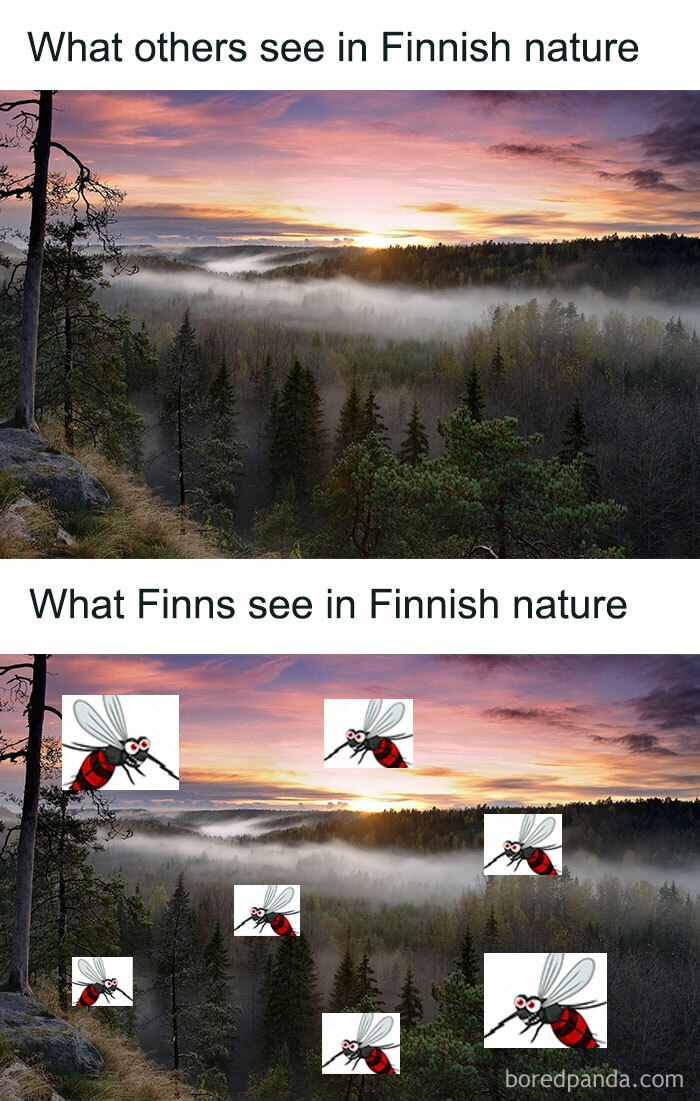 Finnish nature meme showing peaceful landscape contrasted with mosquitoes seen by Finns.