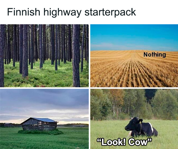 Four-panel Finland meme with forest, field labeled "Nothing," barn, and cow in a pasture.