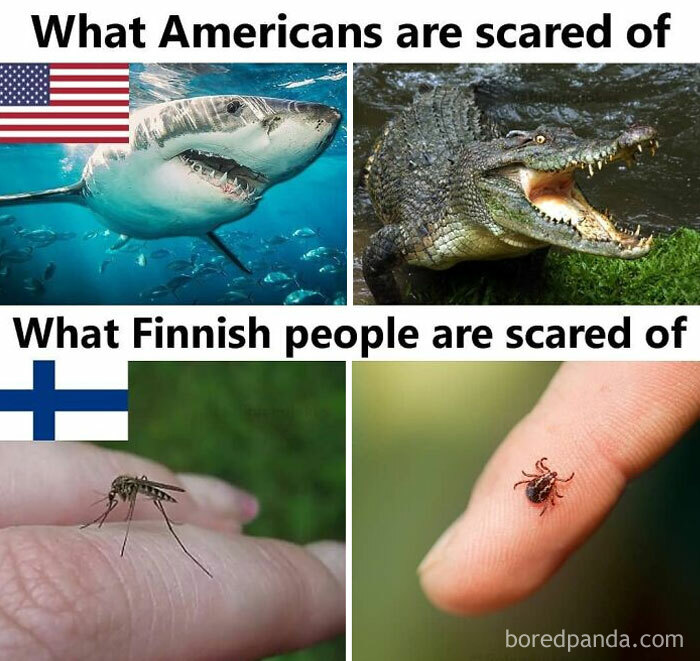 Finland meme comparing fears: Americans fear sharks and crocodiles, Finns fear mosquitoes and ticks.
