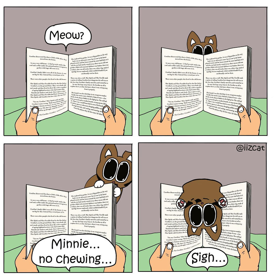 Artist Sums Up Life With A Cat In 30 Comics (New Pics)