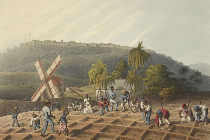 30 People Break Down The Historical Lies That Are Widely Accepted To This Day