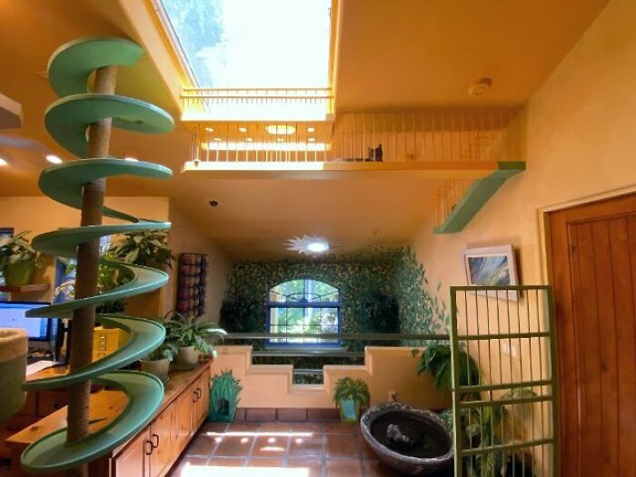 This Man Designed A Purrfect House For His 20-Plus Rescue Cats