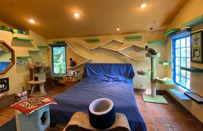 This Man Designed A Purrfect House For His 20-Plus Rescue Cats