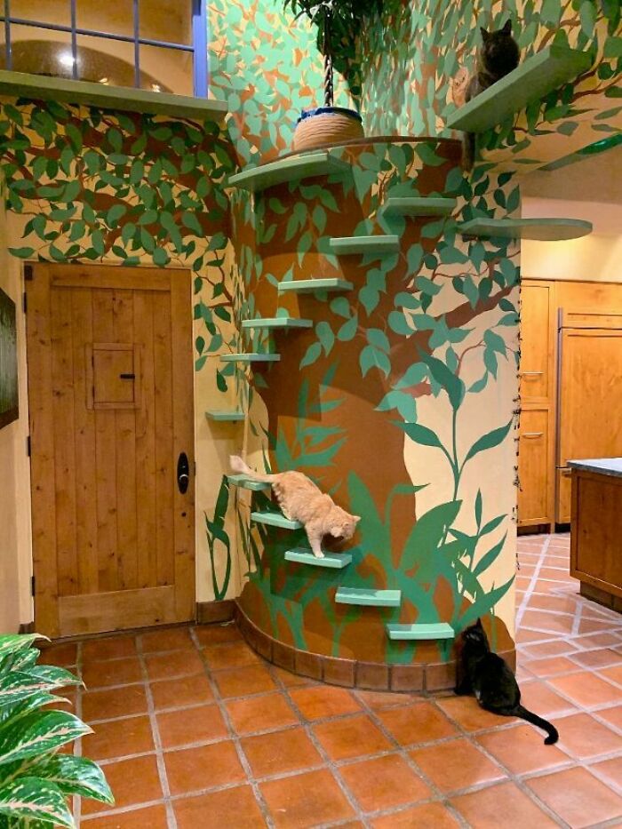 This Man Designed A Purrfect House For His 20-Plus Rescue Cats