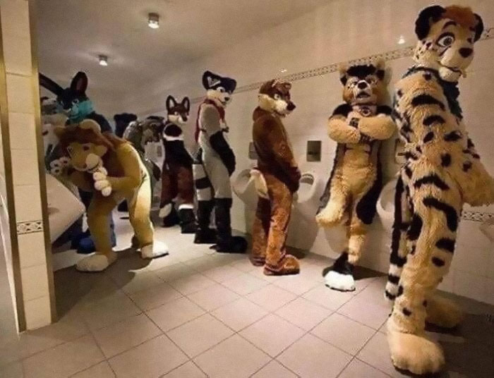 Humans-Doing-Human-Things