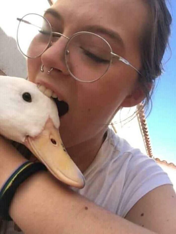 Humans-Doing-Human-Things