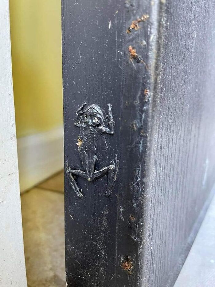 Humans-Doing-Human-Things