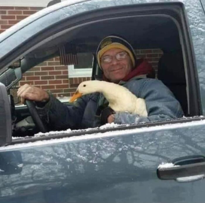 Humans-Doing-Human-Things