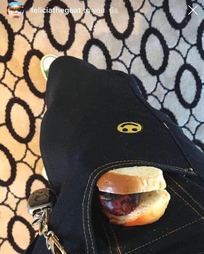 Humans-Doing-Human-Things