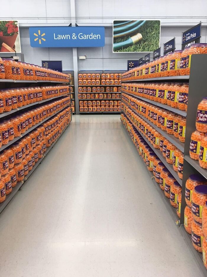 Humans-Doing-Human-Things