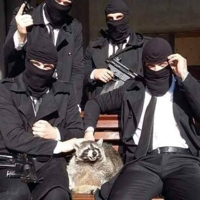 Humans-Doing-Human-Things