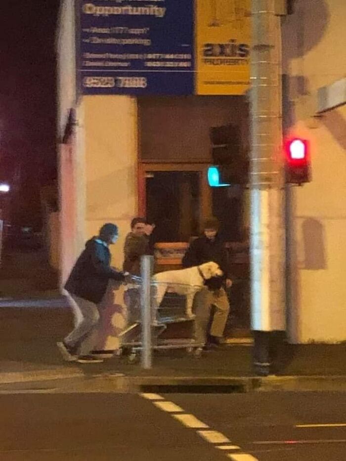 Humans-Doing-Human-Things