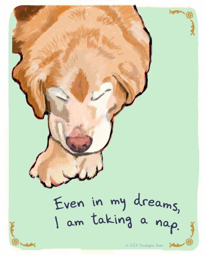 What Do Animals Really Think? Christopher Rozzi Reveals This To You! (30 Pics)