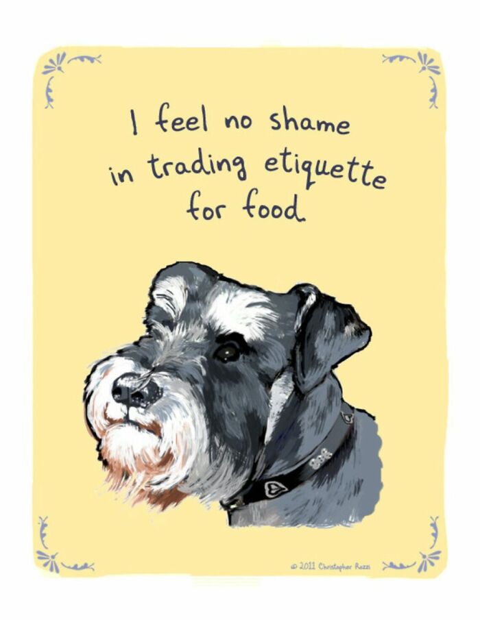 What Do Animals Really Think? Christopher Rozzi Reveals This To You! (30 Pics)