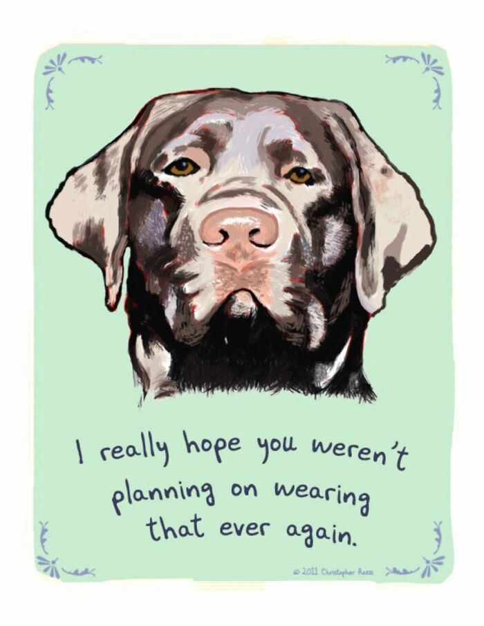 What Do Animals Really Think? Christopher Rozzi Reveals This To You! (30 Pics)