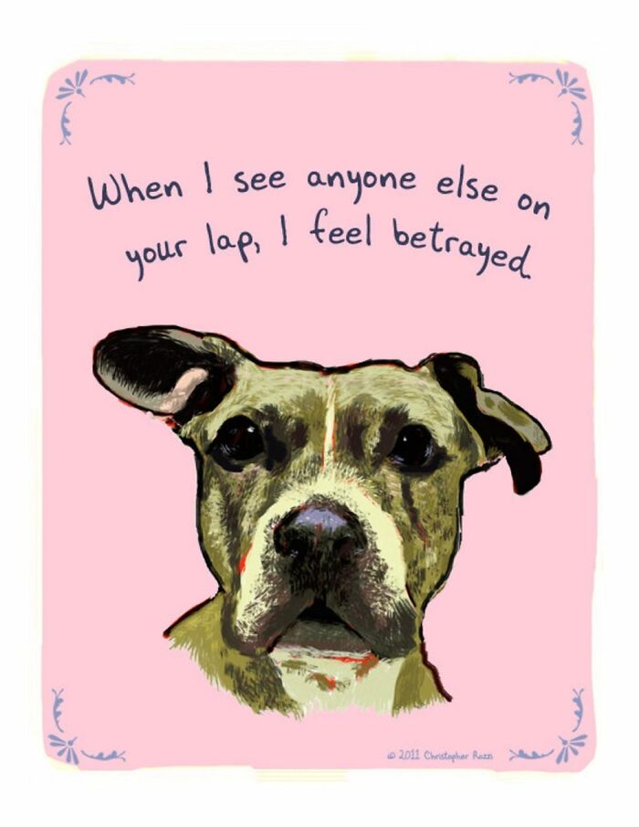 What Do Animals Really Think? Christopher Rozzi Reveals This To You! (30 Pics)