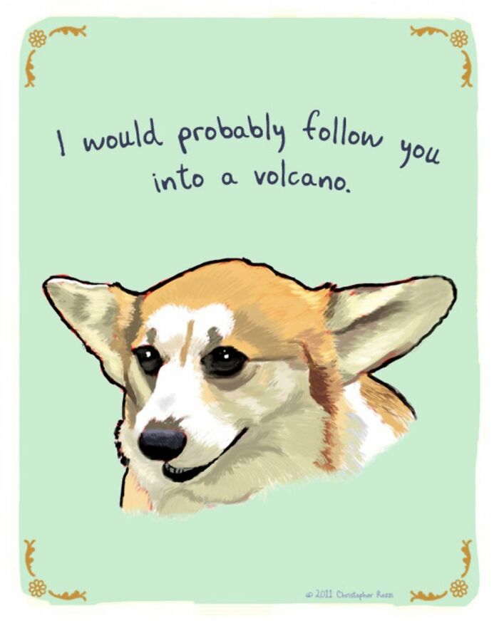 What Do Animals Really Think? Christopher Rozzi Reveals This To You! (30 Pics)