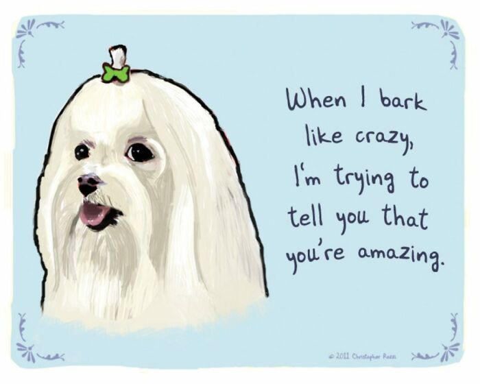 What Do Animals Really Think? Christopher Rozzi Reveals This To You! (30 Pics)