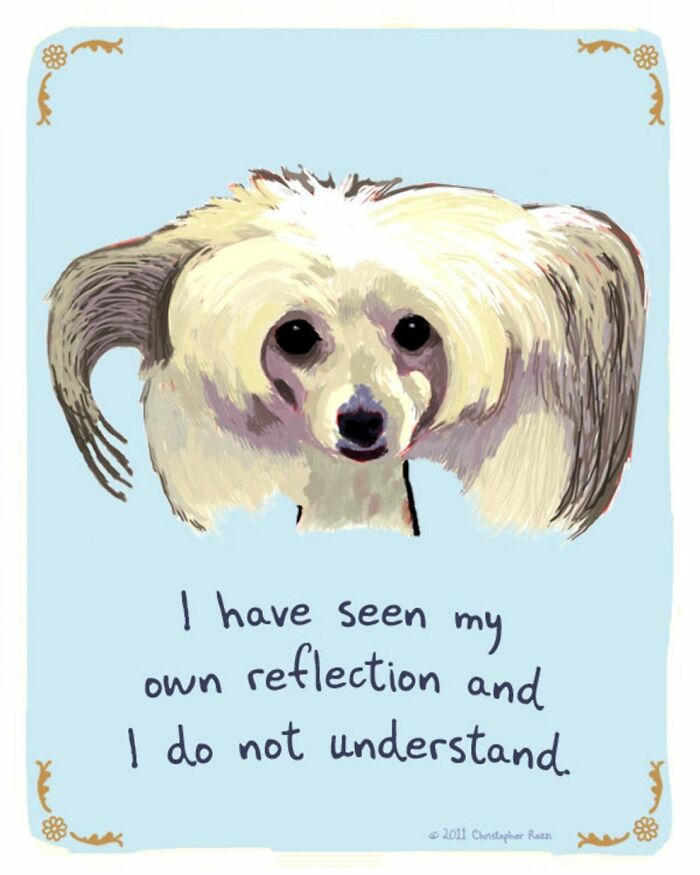 What Do Animals Really Think? Christopher Rozzi Reveals This To You! (30 Pics)