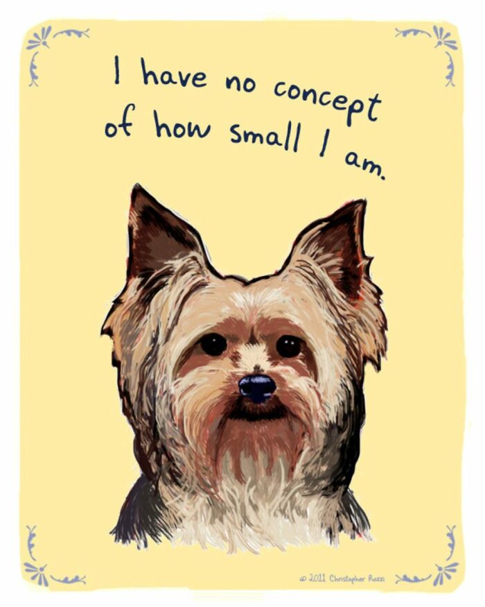 What Do Animals Really Think? Christopher Rozzi Reveals This To You! (30 Pics)