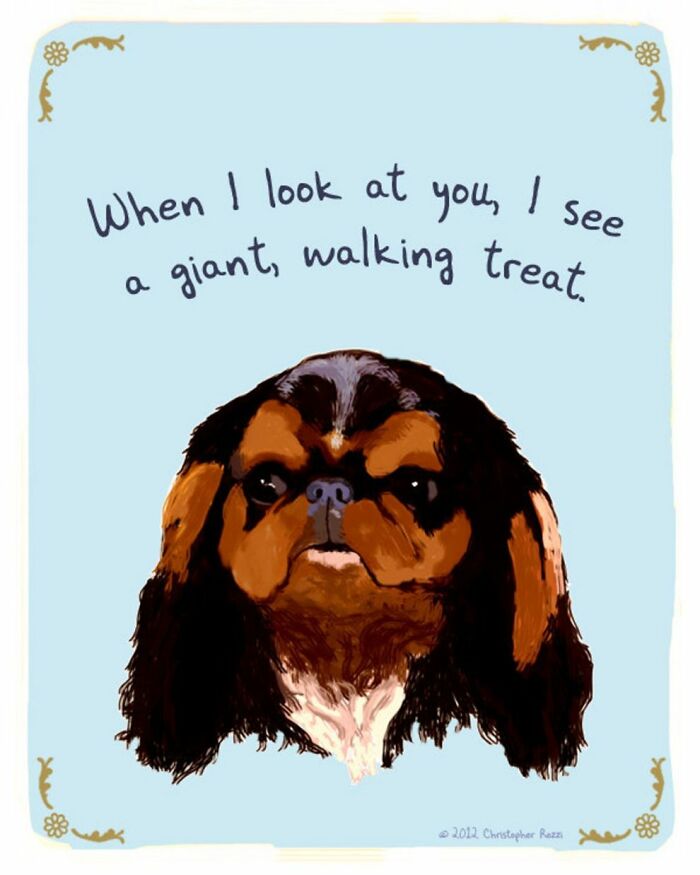 What Do Animals Really Think? Christopher Rozzi Reveals This To You! (30 Pics)