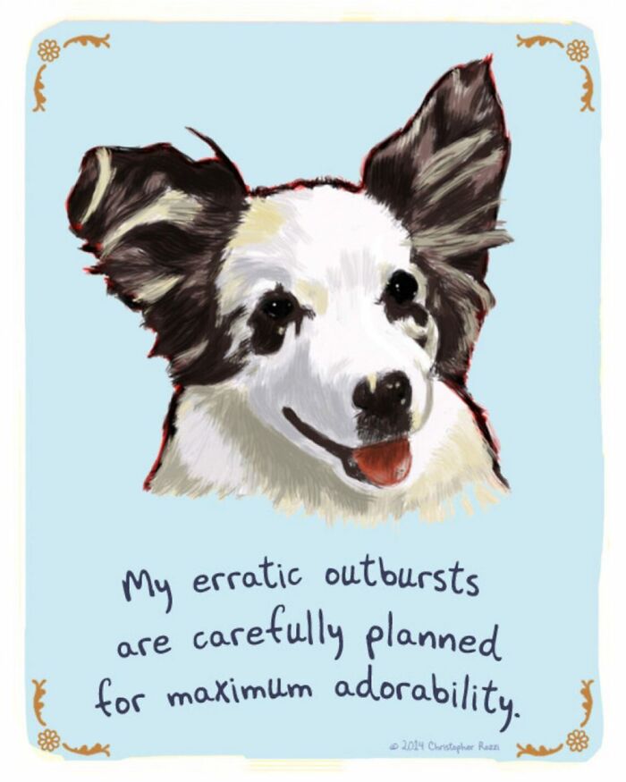 What Do Animals Really Think? Christopher Rozzi Reveals This To You! (30 Pics)