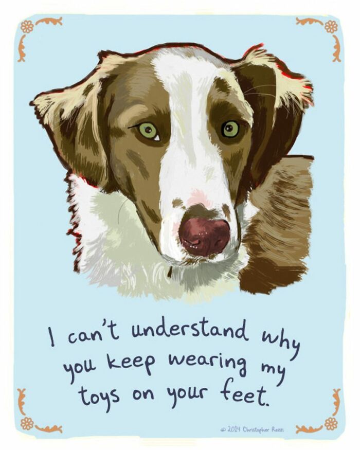 What Do Animals Really Think? Christopher Rozzi Reveals This To You! (30 Pics)