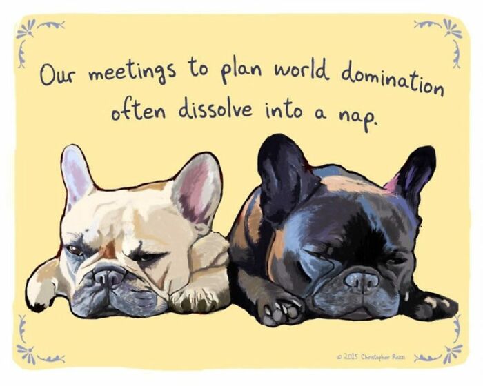 What Do Animals Really Think? Christopher Rozzi Reveals This To You! (30 Pics)