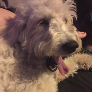 usethiswhensigningup avatar