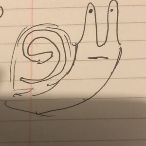 anikshakuganesan avatar