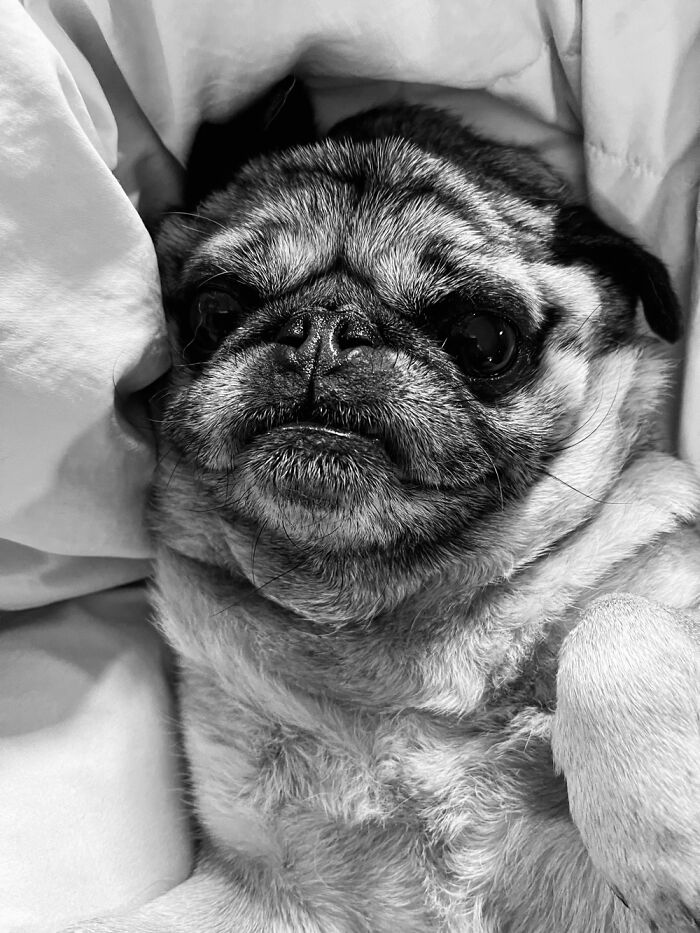 She's Half My Weird Photos